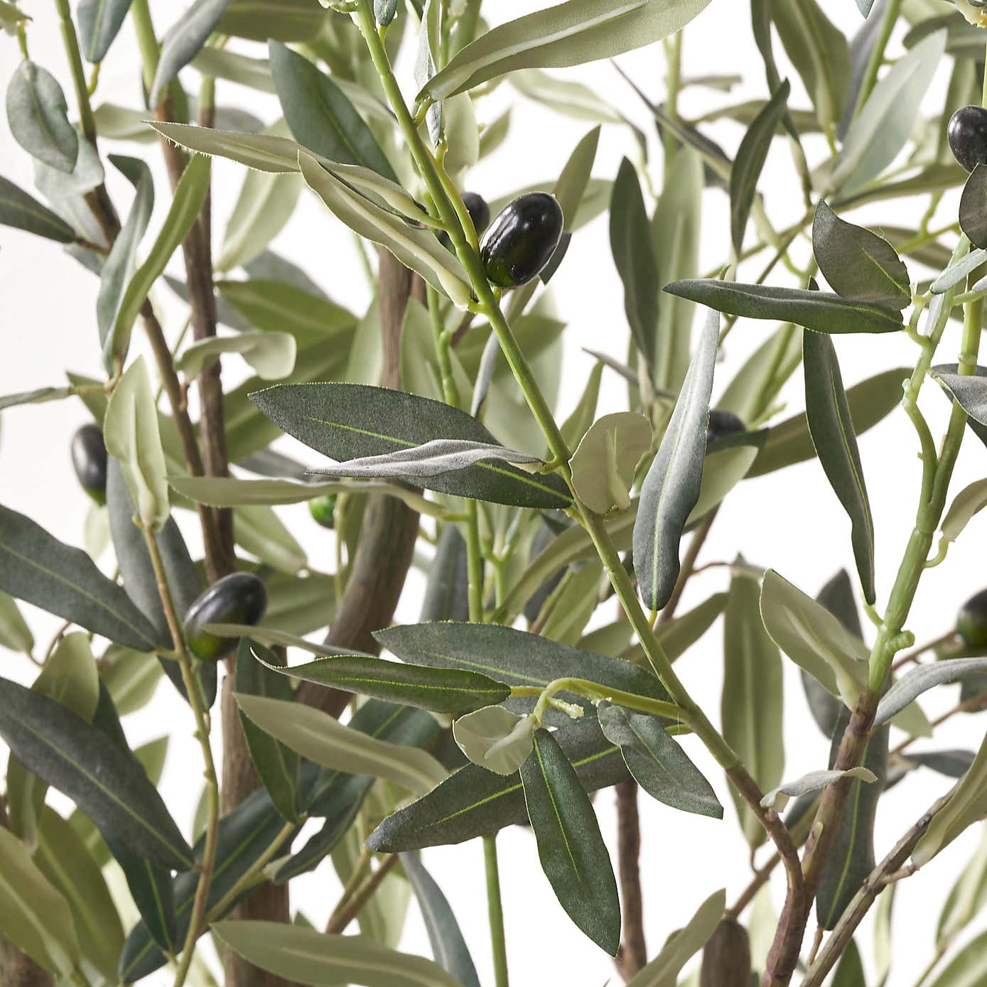 Artificial Large Olive Tree in Taupe Plant Pot