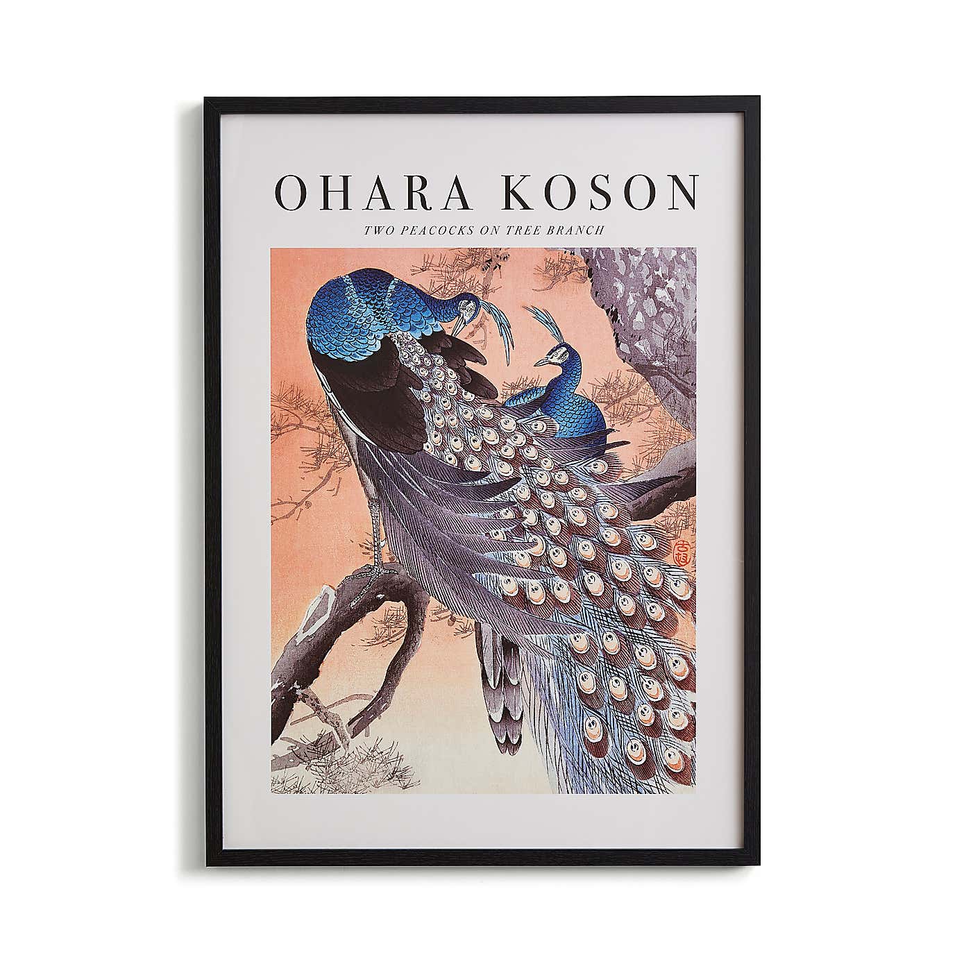 Two Peacocks on Tree Branch by Ohara Koson Framed Print