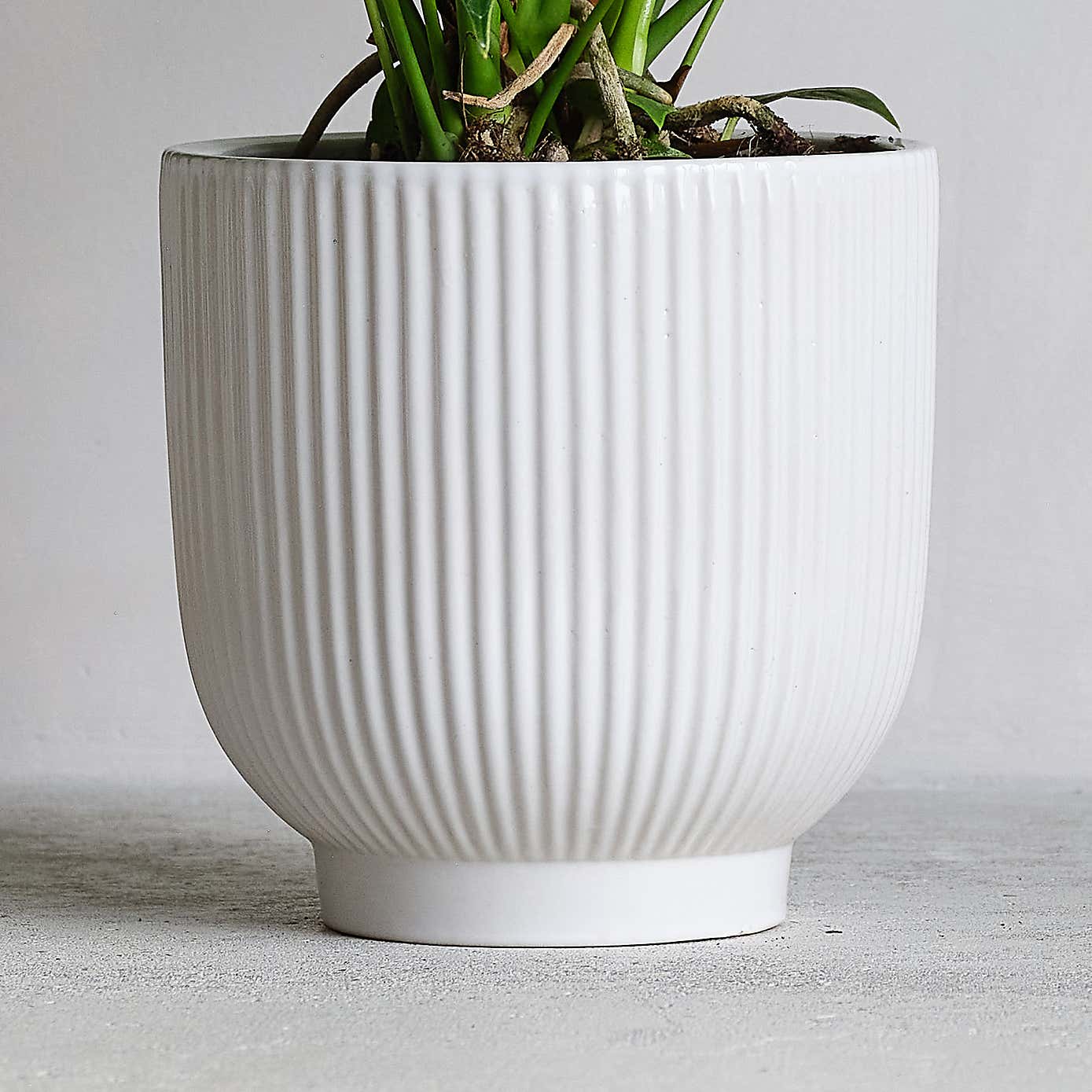 Peach Anthurium Potted House Plant and Candle Bundle