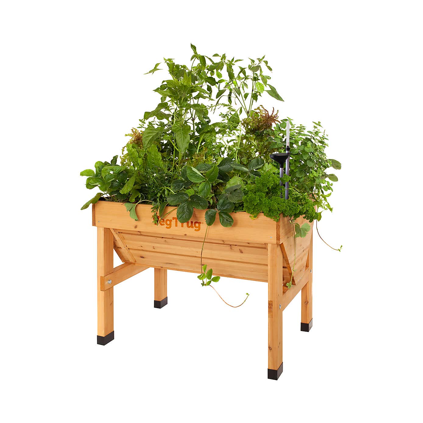 VegTrug Small Classic Self Watering Kit