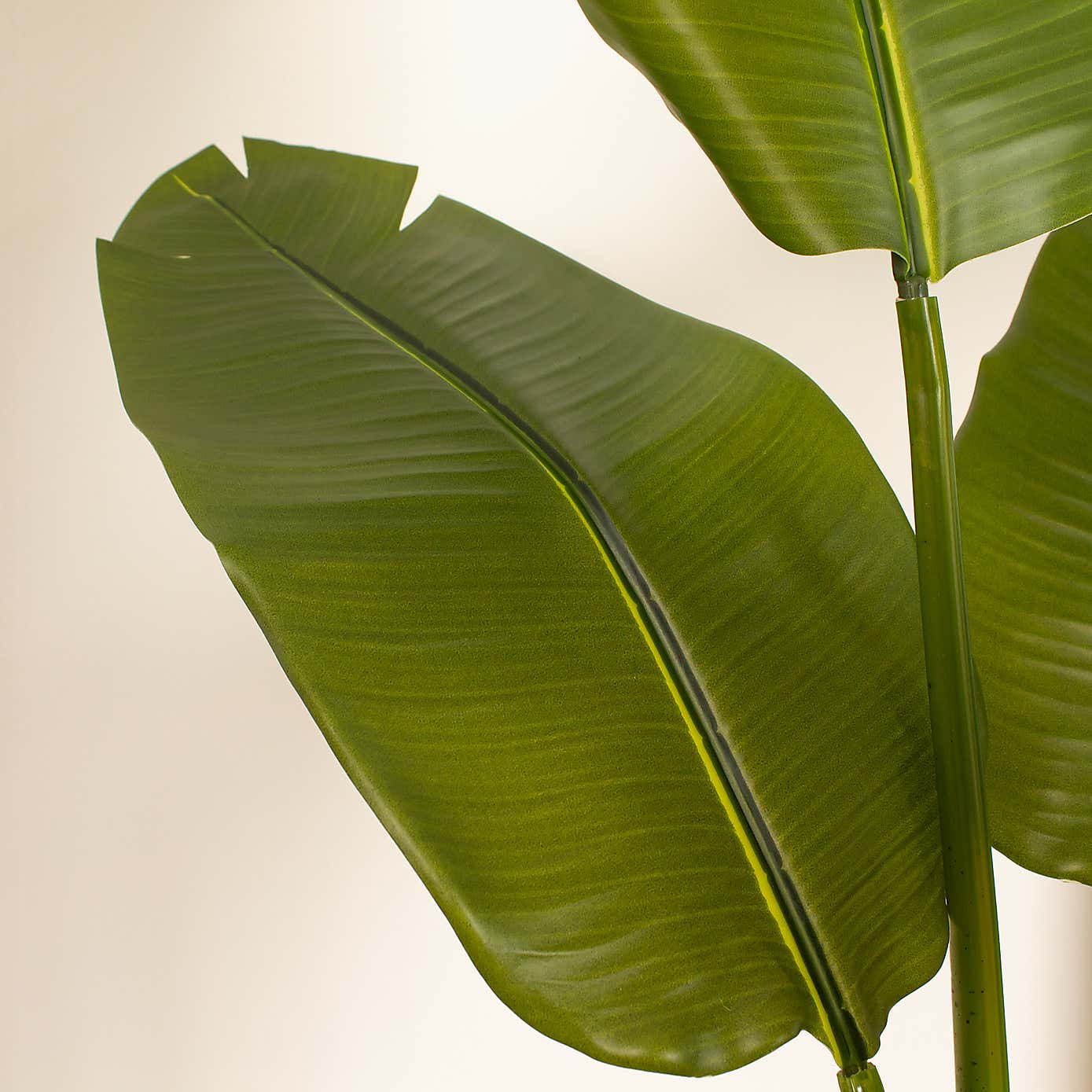 Artificial Real Touch Banana Tree in Black Plastic Plant Pot