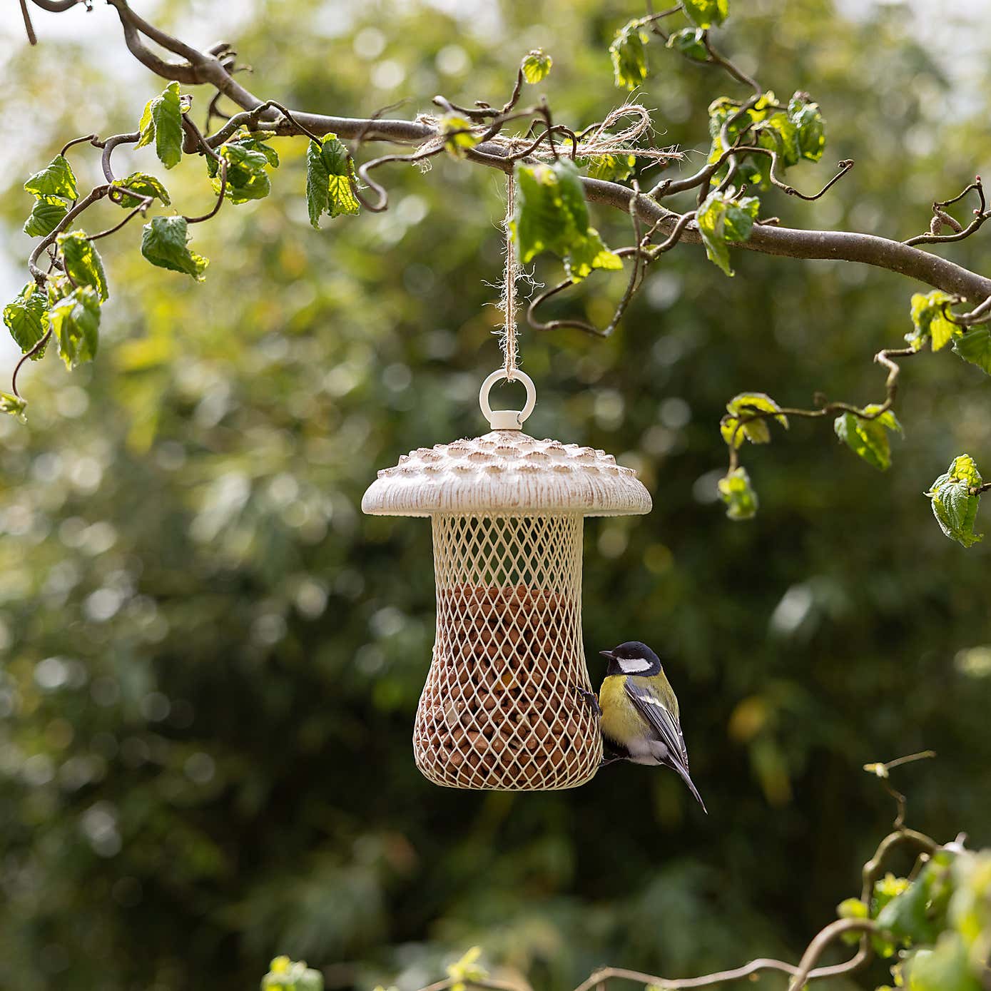 Fallen Fruits Mushroom Bird Feeder Parasol