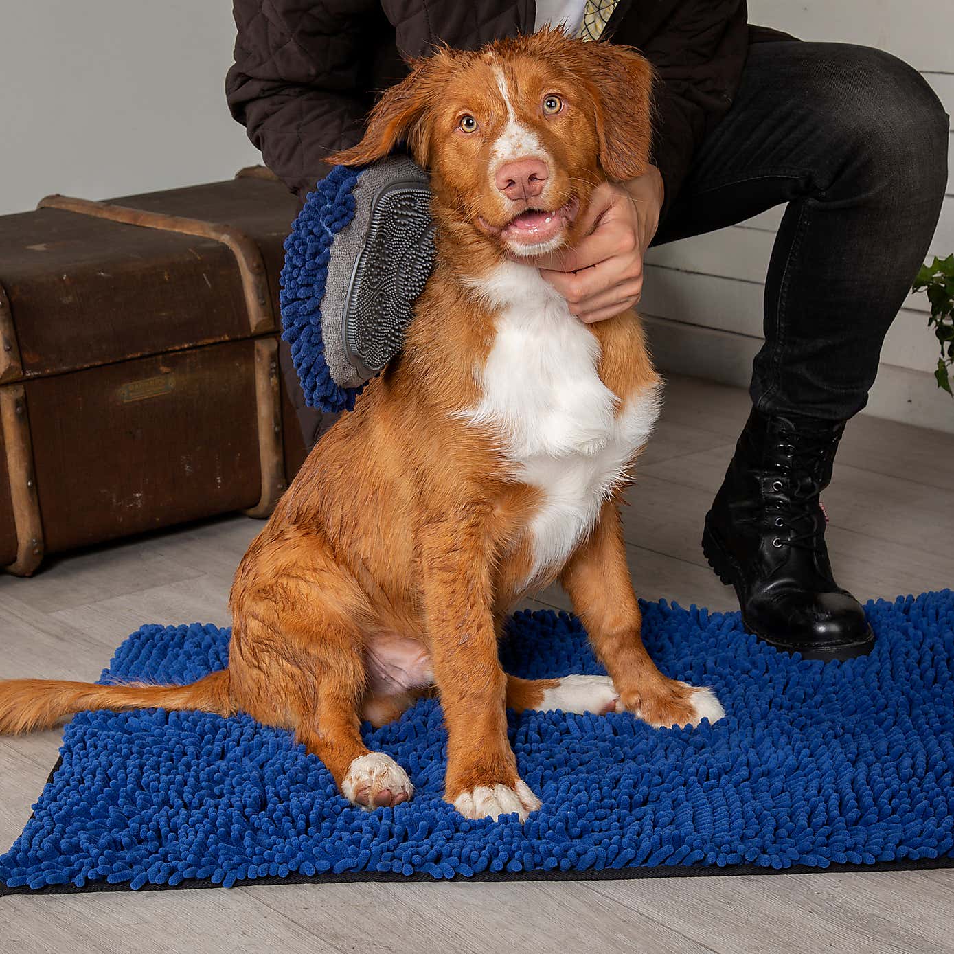 Scruffs Noodle Dog Drying Mitt