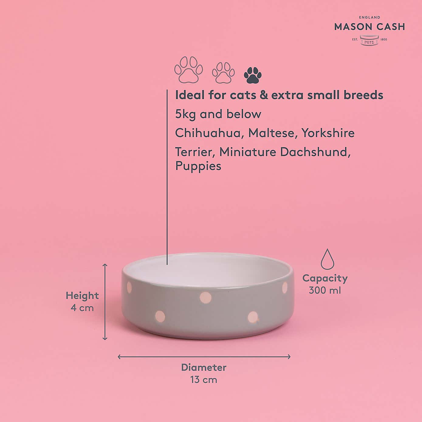 Mason Cash Set of 2 Spotty Pet Bowls