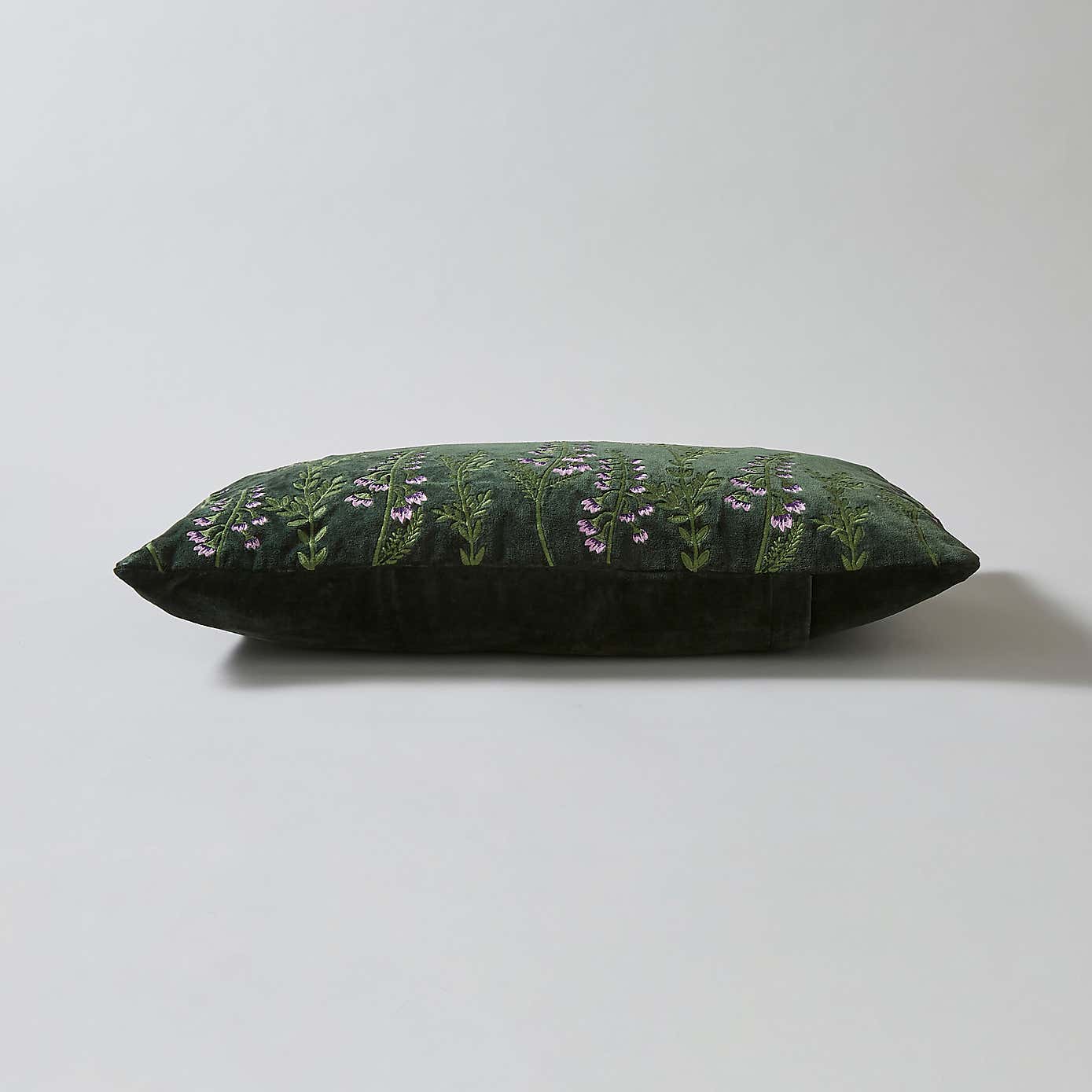 Emperor Moth Cushion