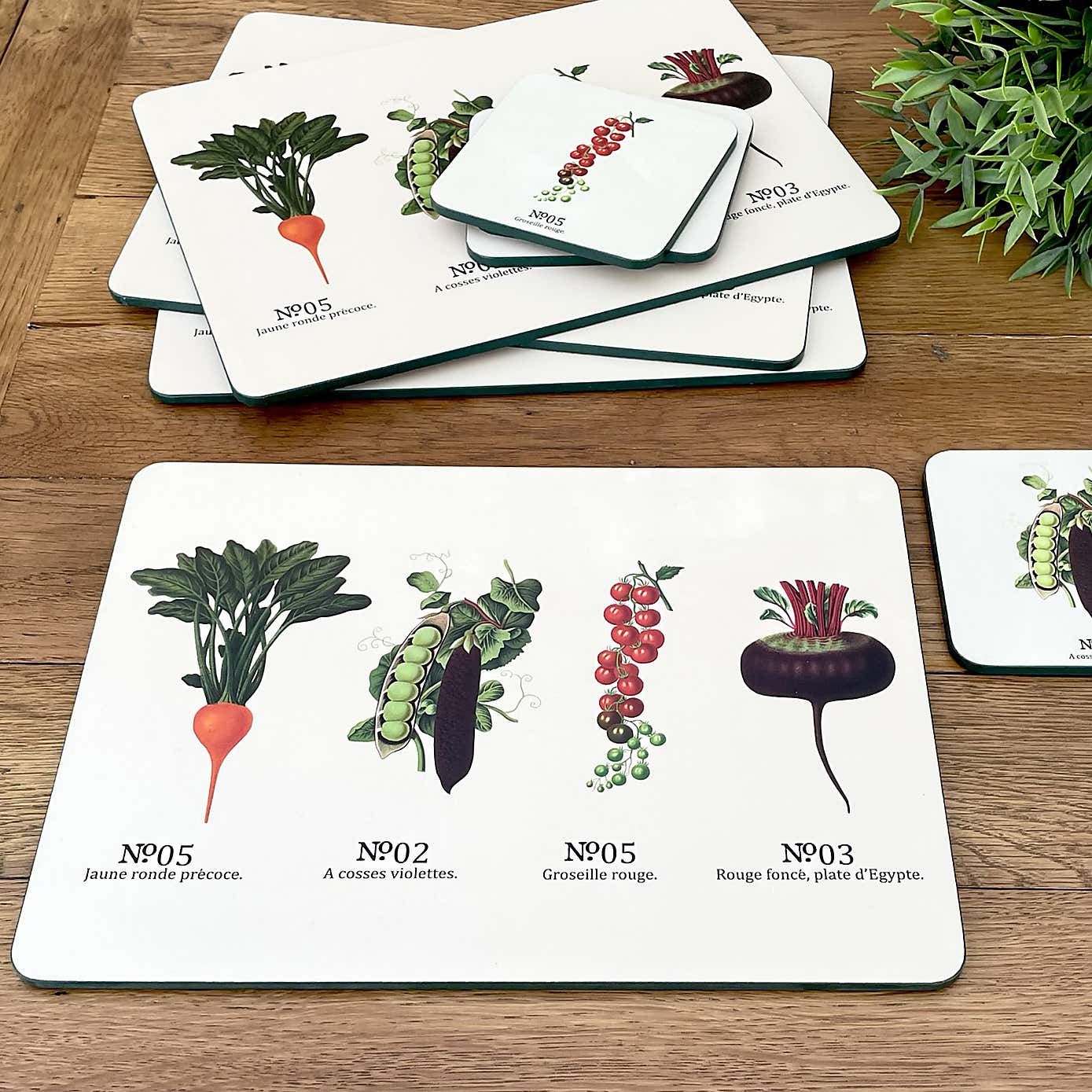 RHS by Dexam Benary Vegetables Set of 4 Placemats