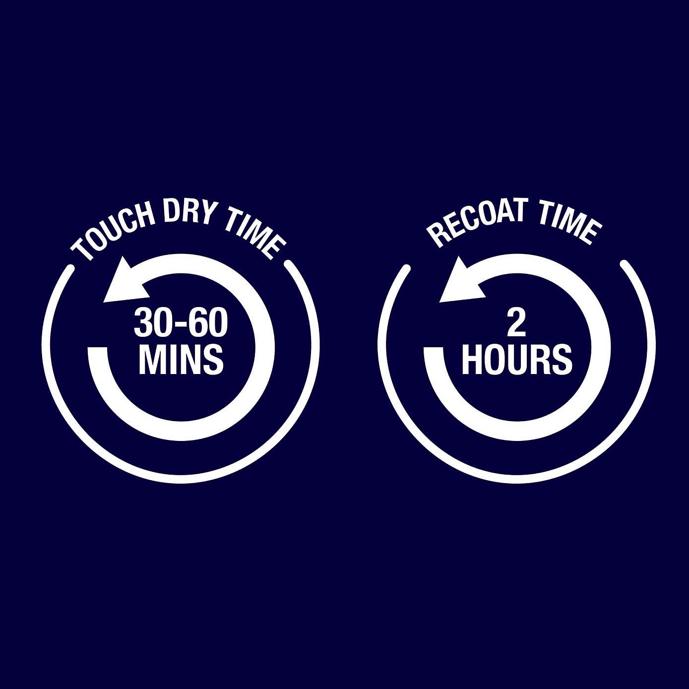 Rust-Oleum Silver Metallic Paint 250ml