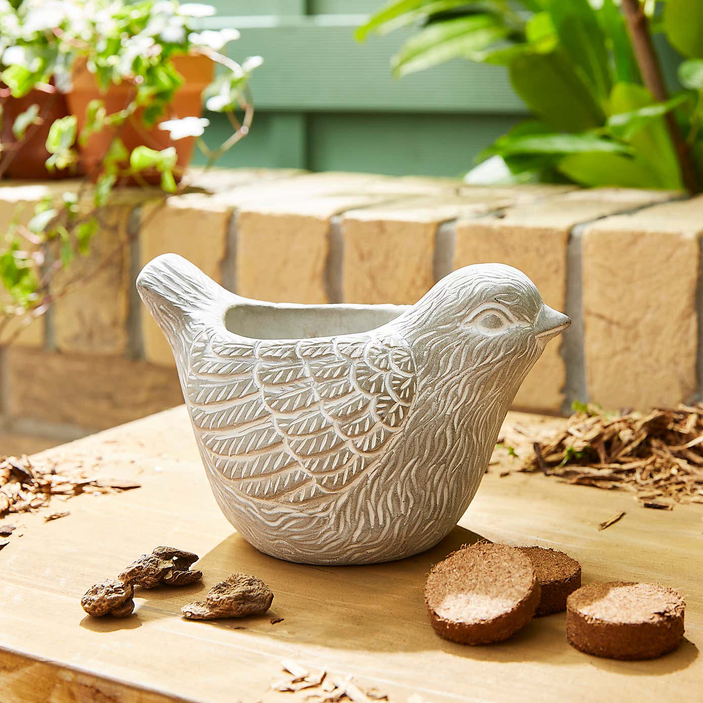Taylor's Bulbs Stone Robin Planter and Anenone Kit