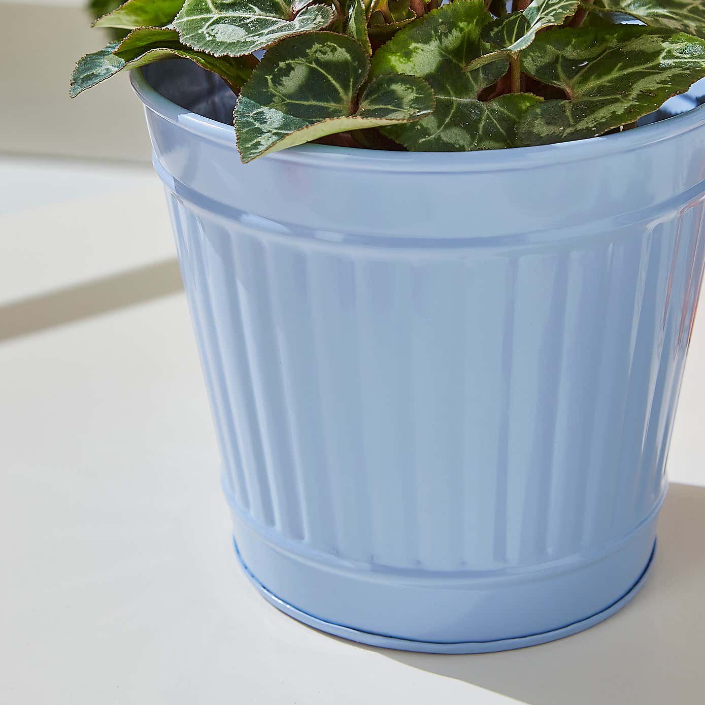 Small Bright Metal Bucket Plant Pot