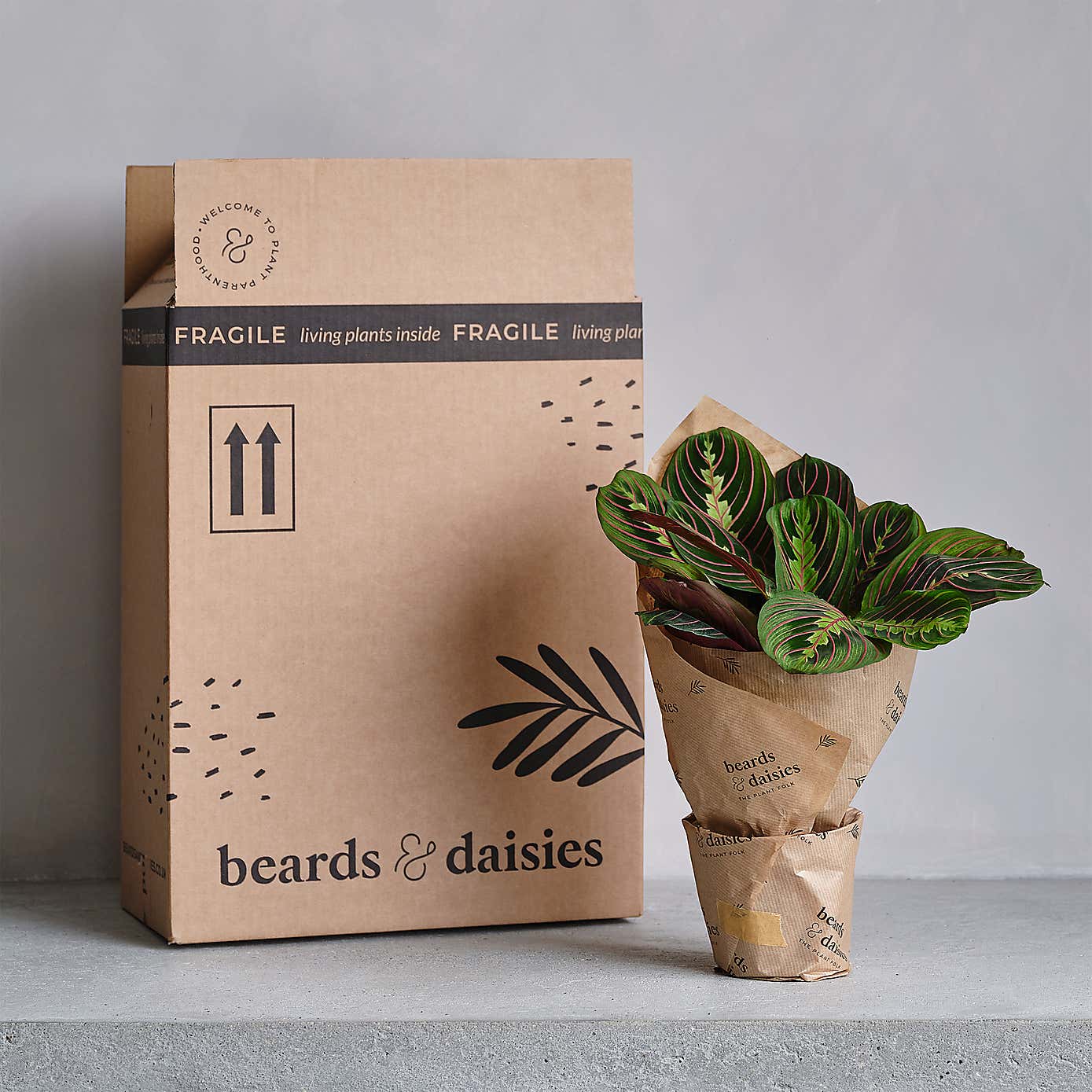 Artificial Boston Fern