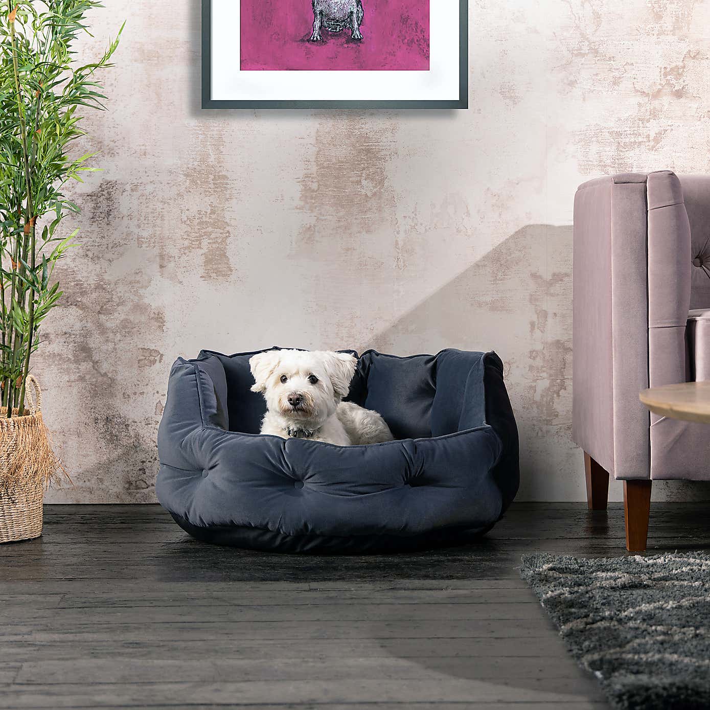 Bunty Pets Monarch Pet Bed