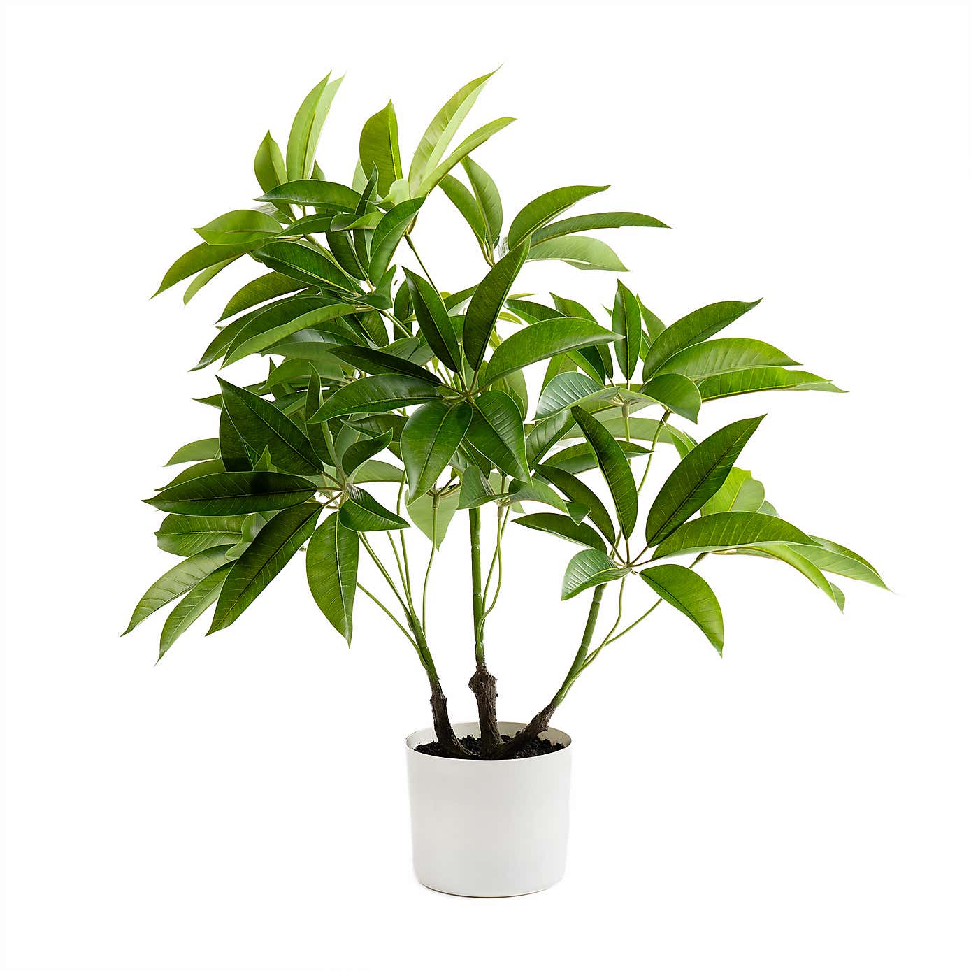 Artificial Umbrella Plant in White Plant Pot