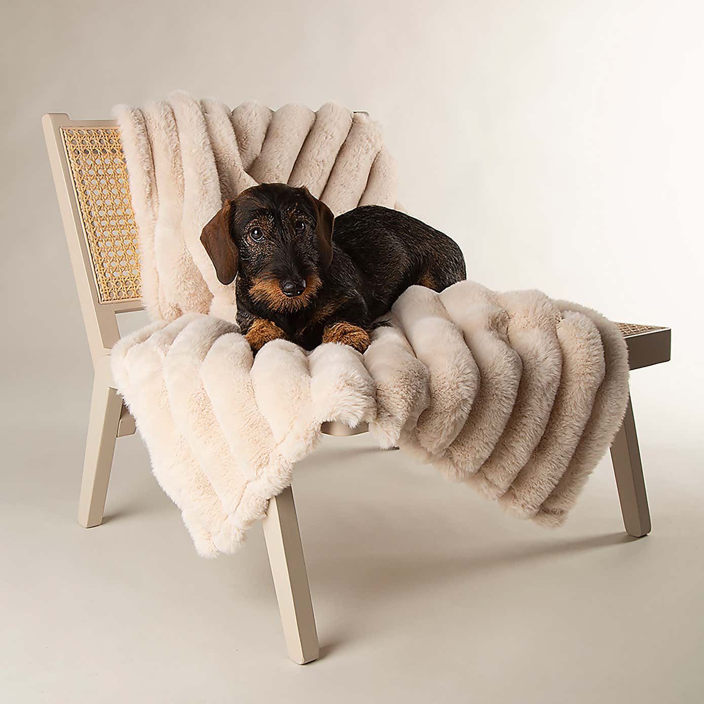 Scruffs Luxurious Aspen Pet Blanket