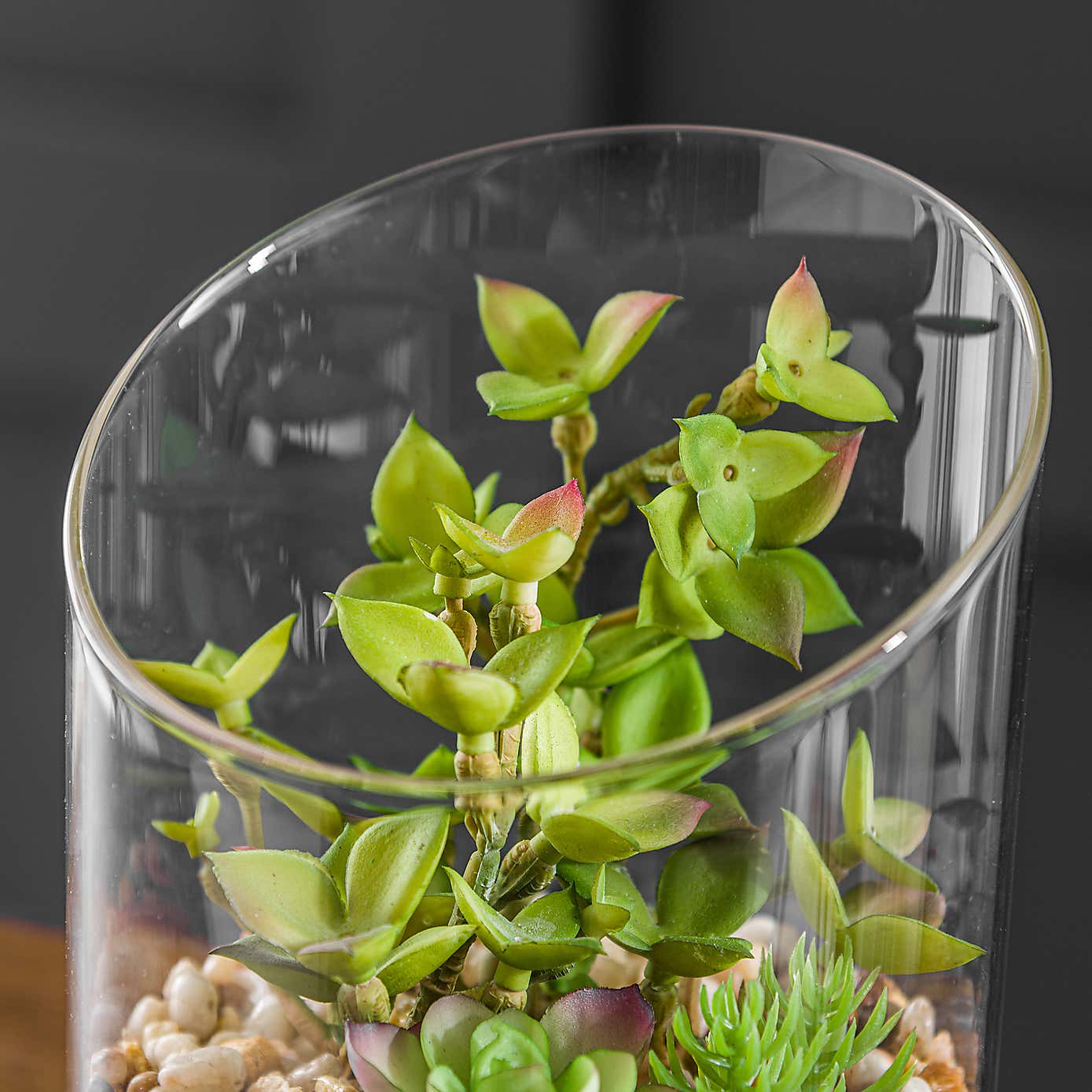 Artificial Succulent Garden in Sand Glass Terrarium