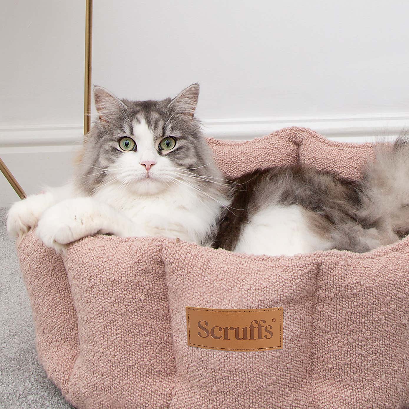 Scruffs Boucle Cat Bed