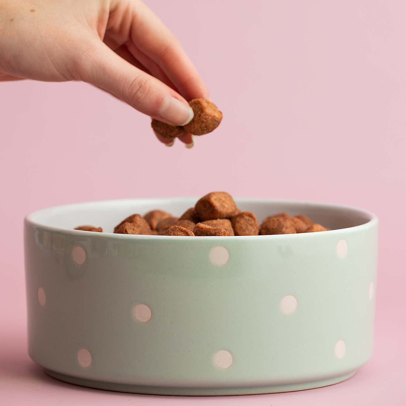 Mason Cash Set of 2 Spotty Pet Bowls