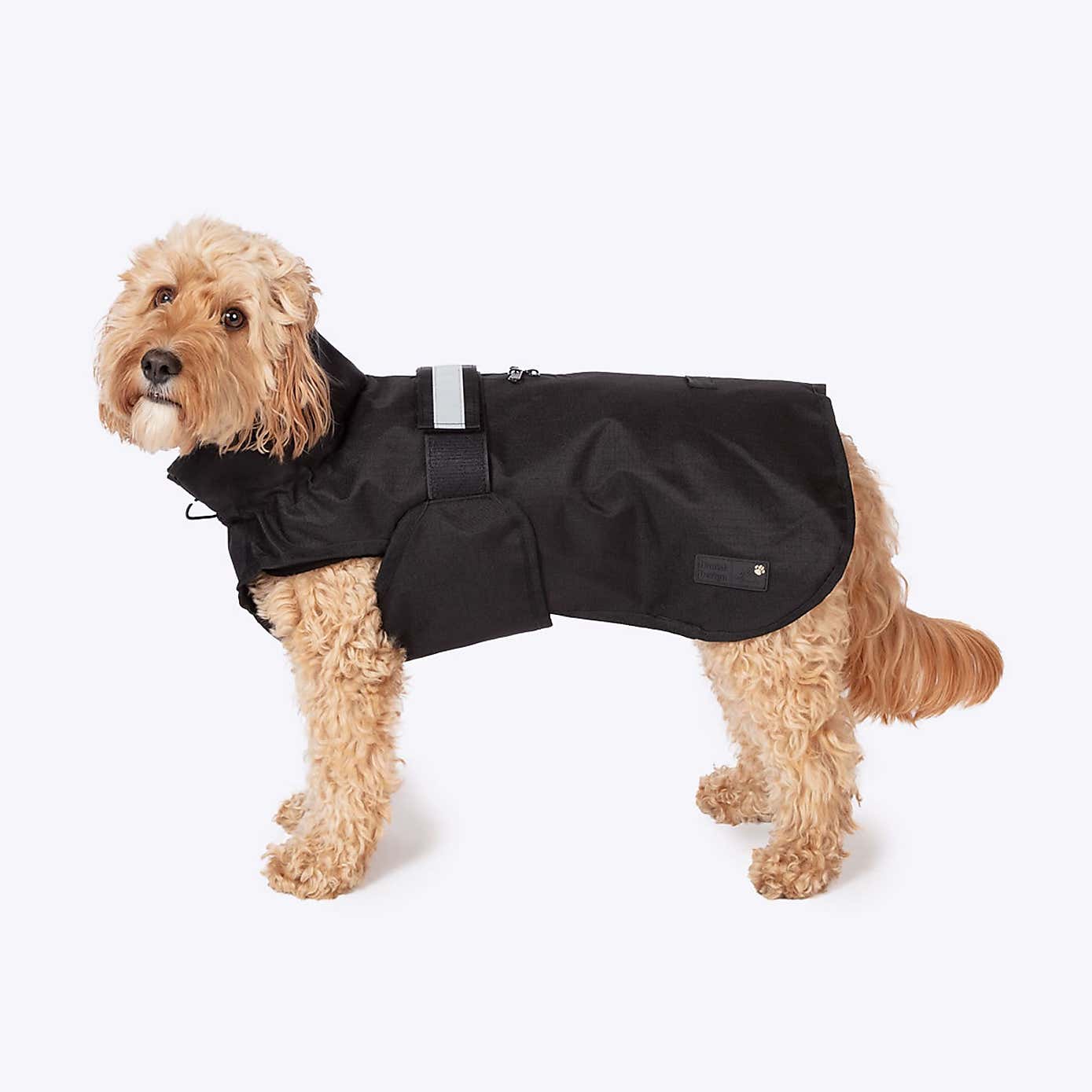 Danish Design 3 in 1 Dog Coat