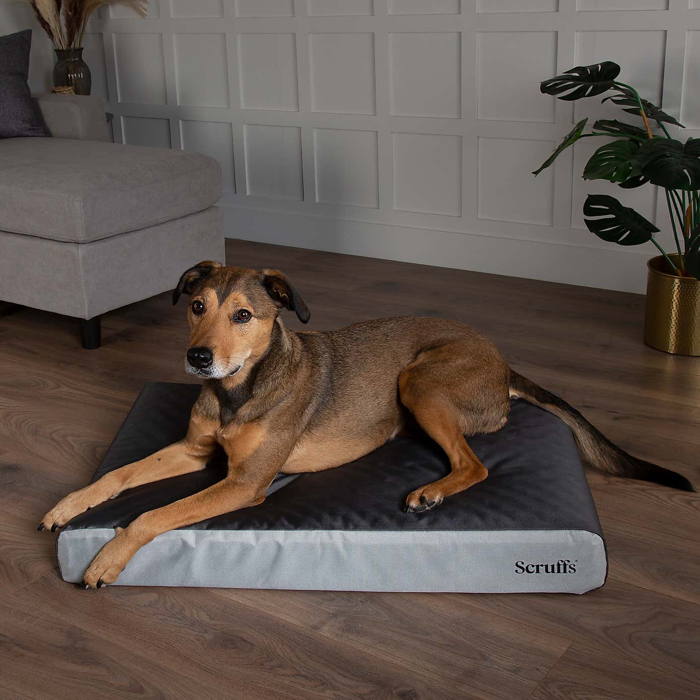 Scruffs ArmourDillo Orthopaedic Dog Bed