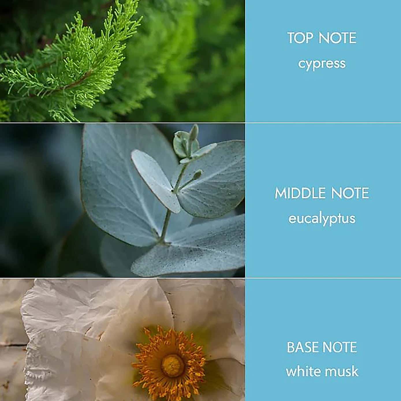 Heart & Home Tranquility Candle & Socks Gift Set