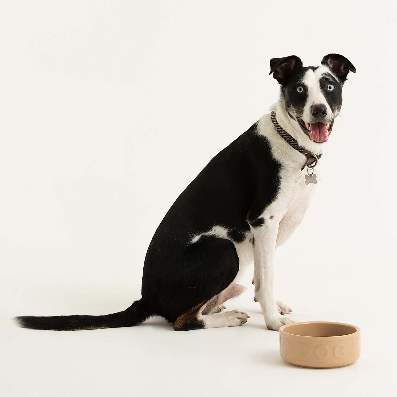 Mason Cash Cane Dog Bowl