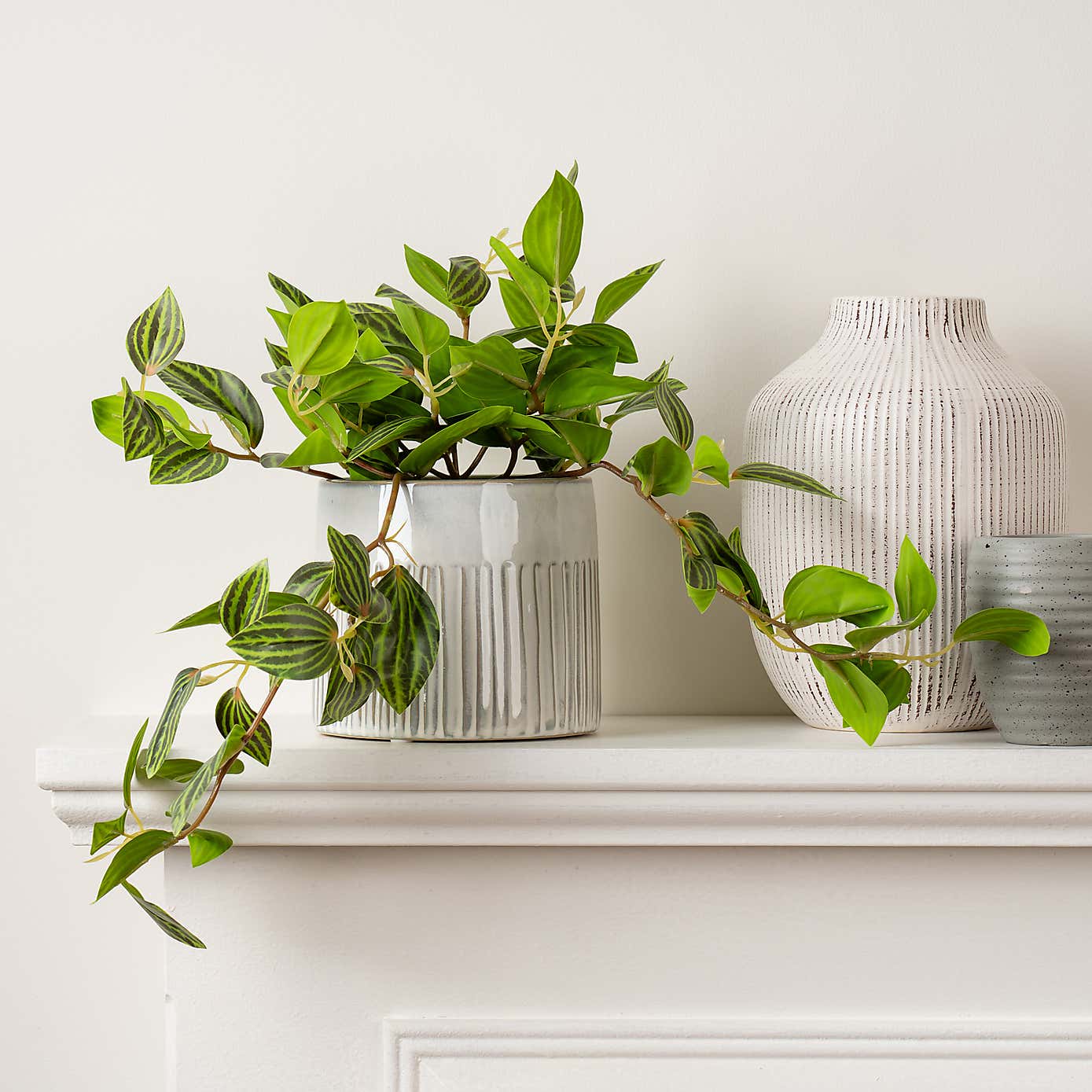 Artificial Green Trailing Plant in Black Plant Pot