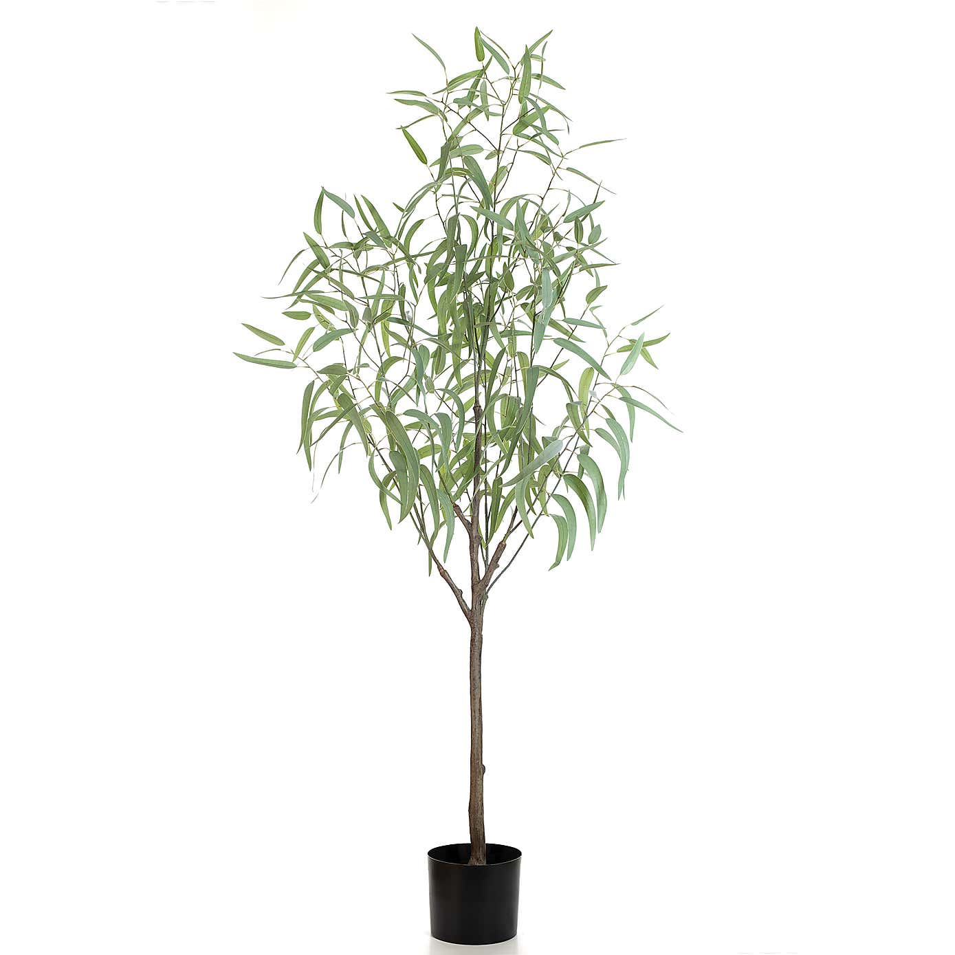 Artificial Curved Leaf Eucalyptus Tree in Black Plant Pot