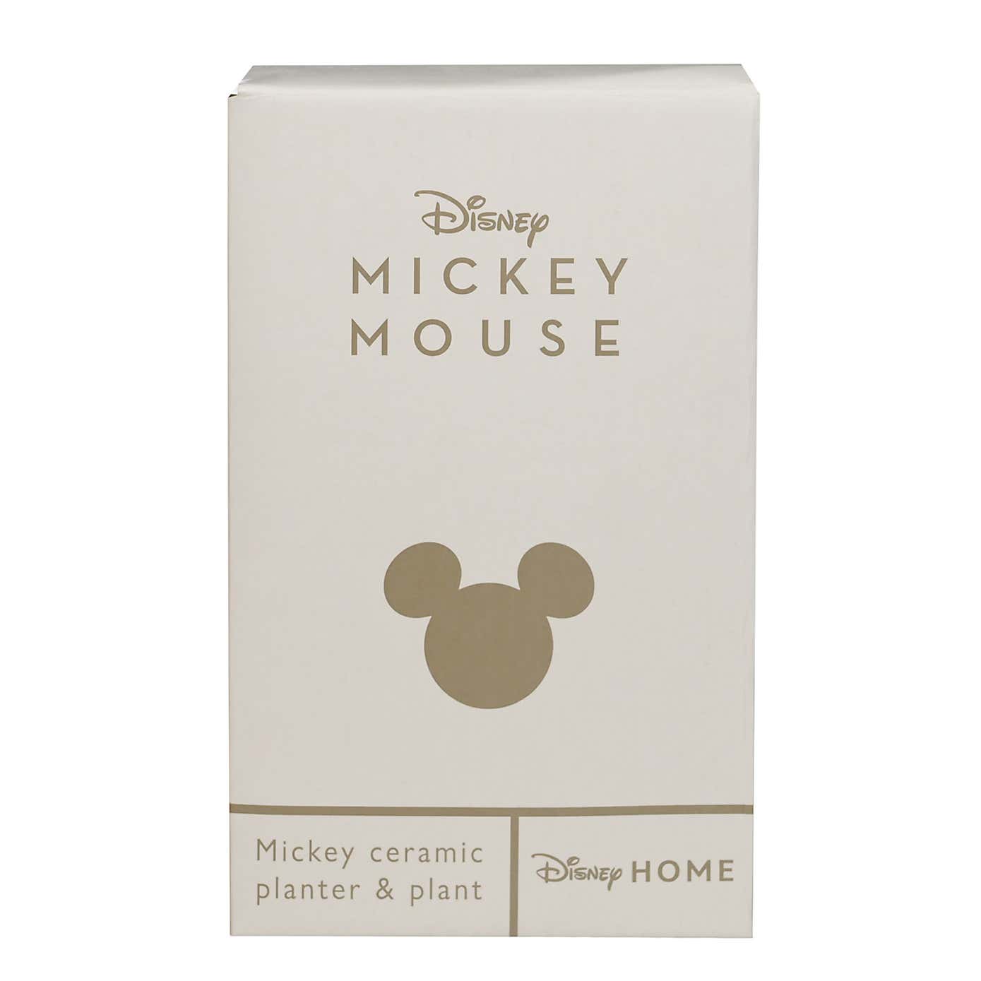 Artificial Plant in Disney Mickey Mouse Brown Ceramic Plant Pot