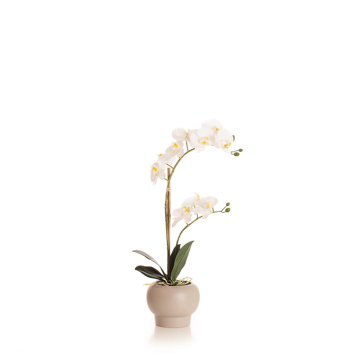 Artificial White Phalaenopsis Orchid in Beige Ceramic Plant Pot