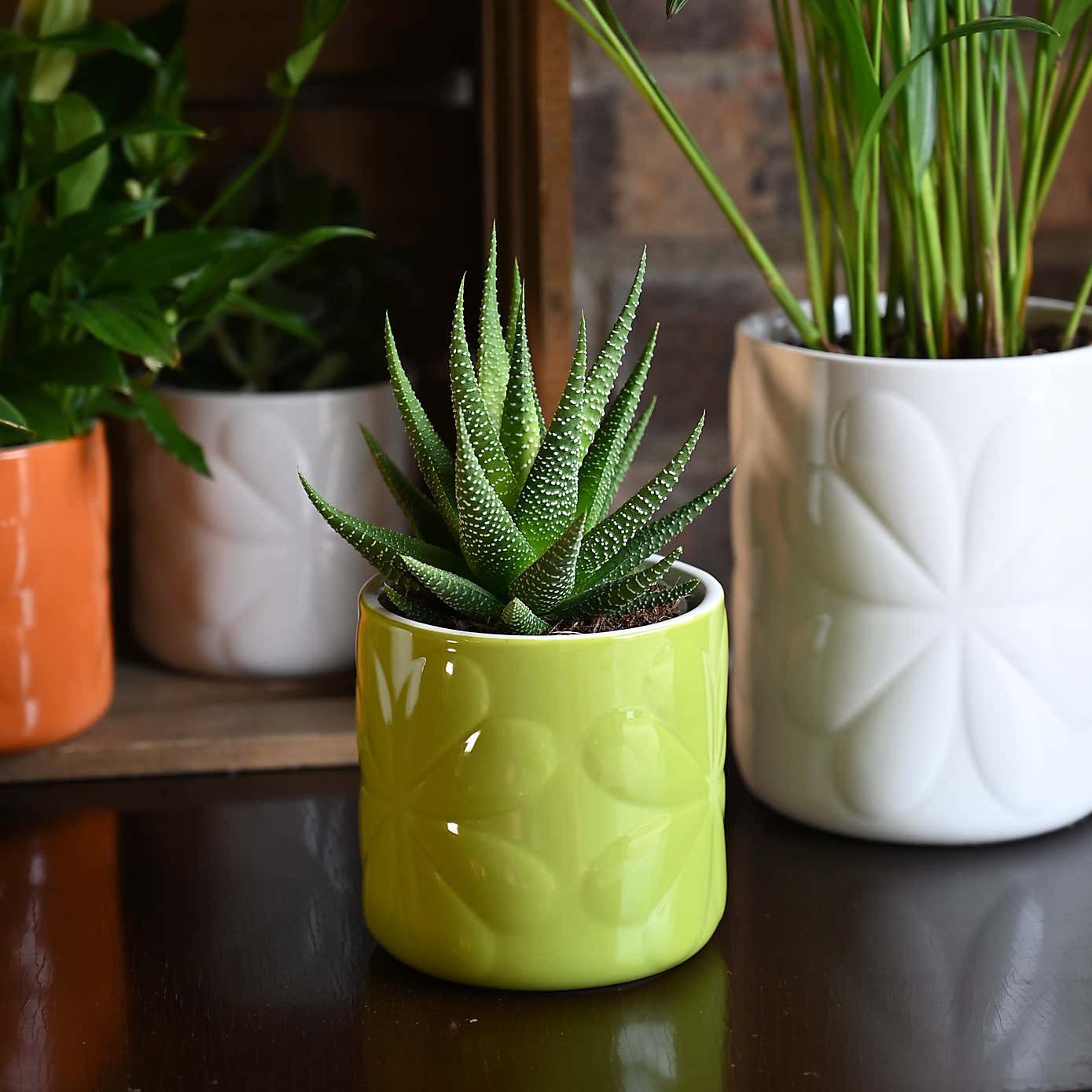 Navigate Carnaby Ceramic Embossed Pot