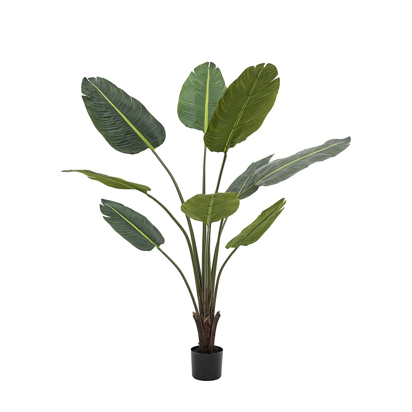 Artificial Medium Travellers Palm Tree in Black Plant Pot