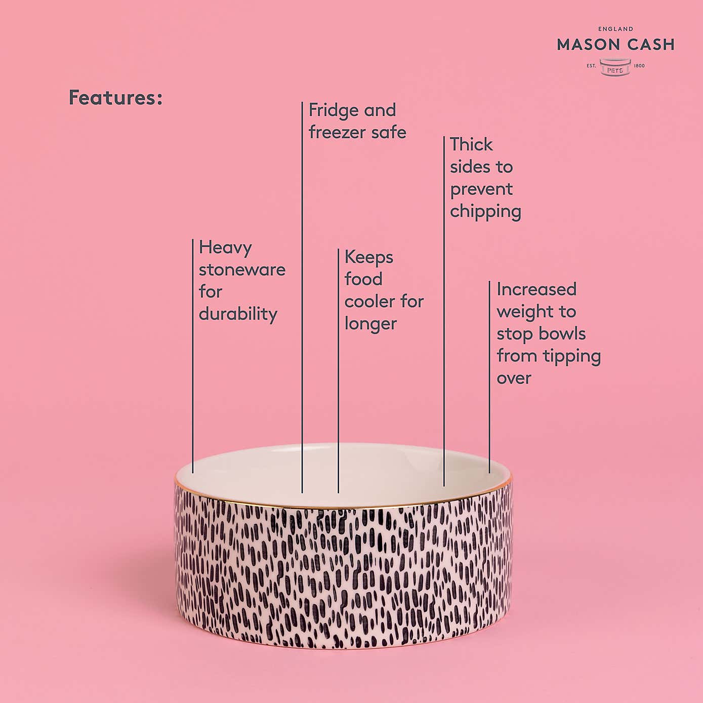 Set of 2 Gold Rim Spotty Dog Bowls