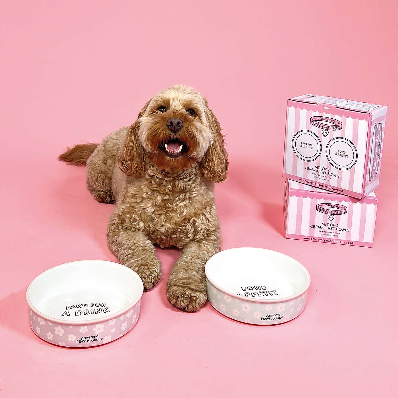 Set of 2 Flowers Ceramic Pet Bowls