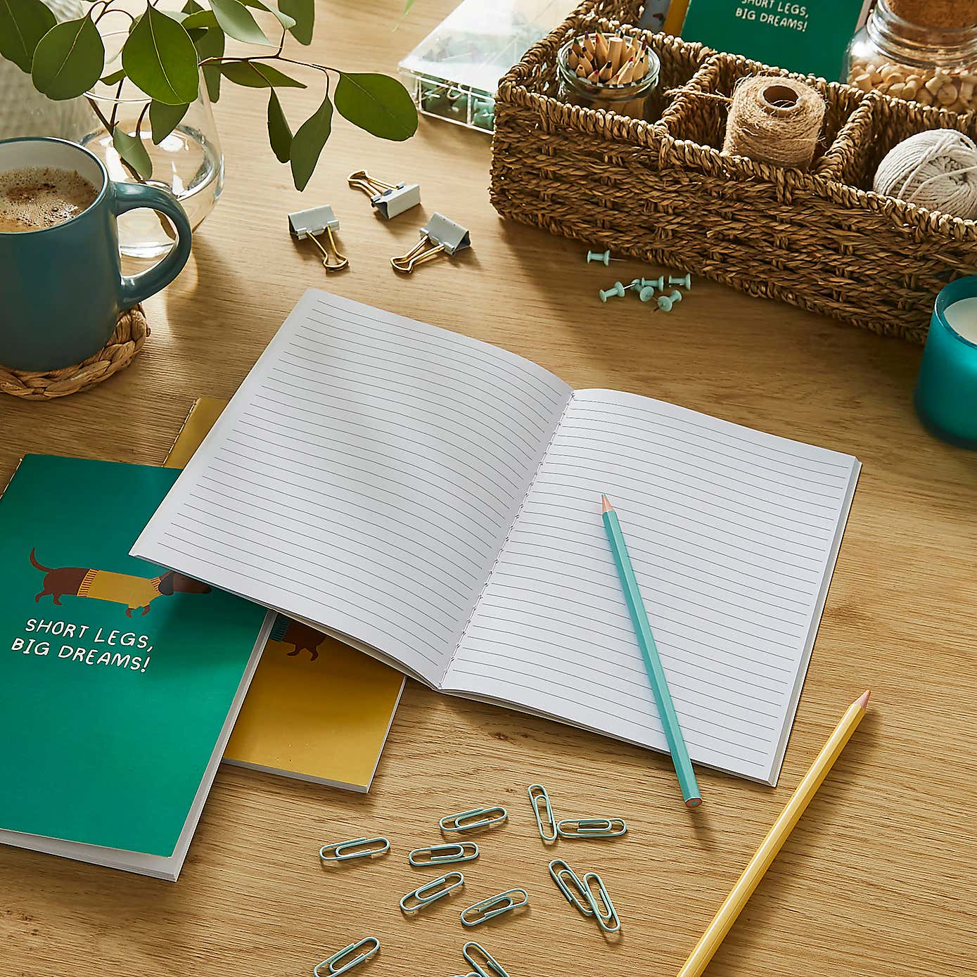 Waters & Noble Set of 3 Sausage Dog Softcover Notebooks