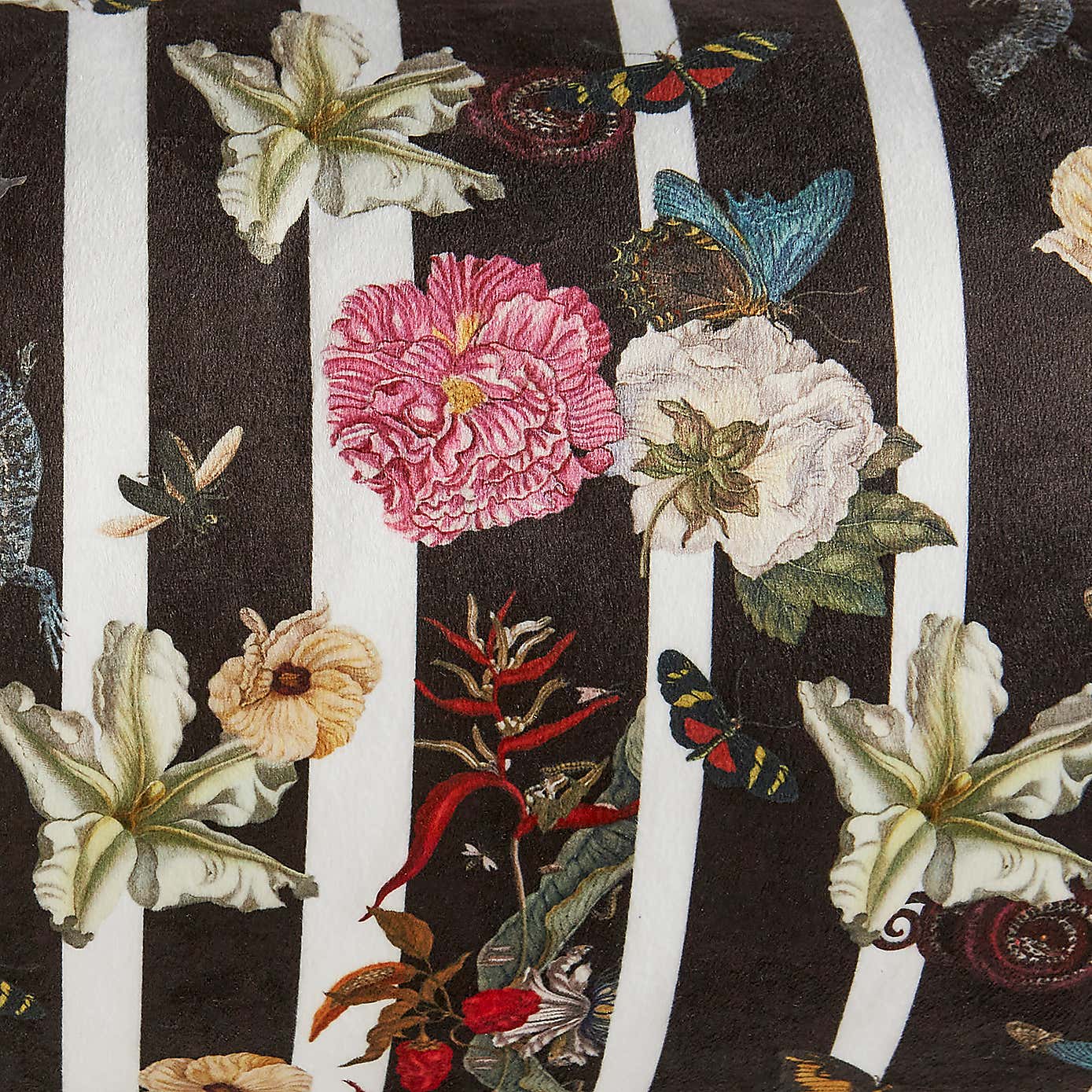 Metamorphosis Boulster Cushion