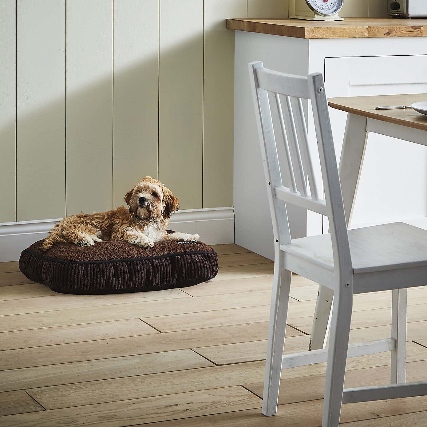 Bunty Snooze Dog Bed