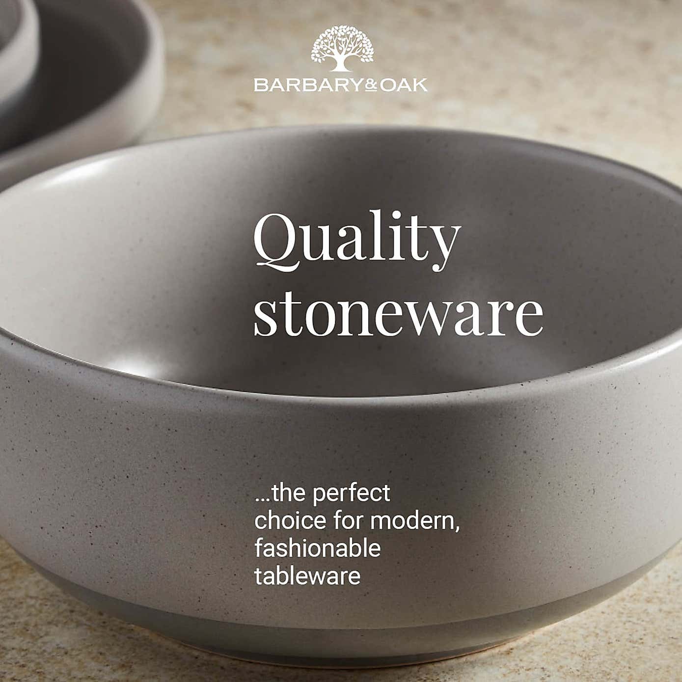 Barbary & Oak Avena Stoneware 16 Piece Dinner Set