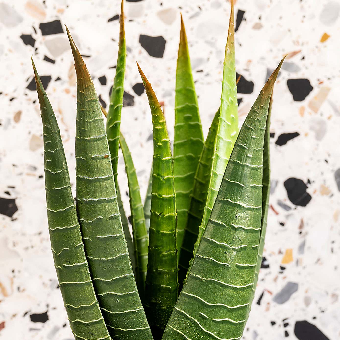 Artificial Aloe Vera