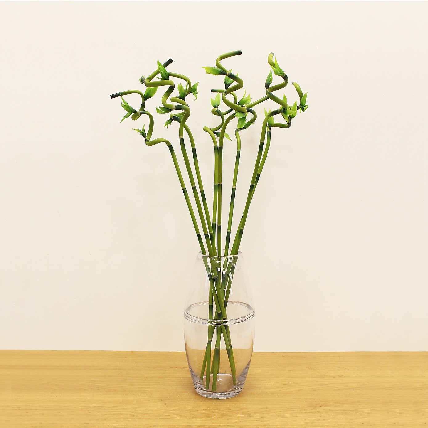 Artificial Green Lucky Bamboo Stem