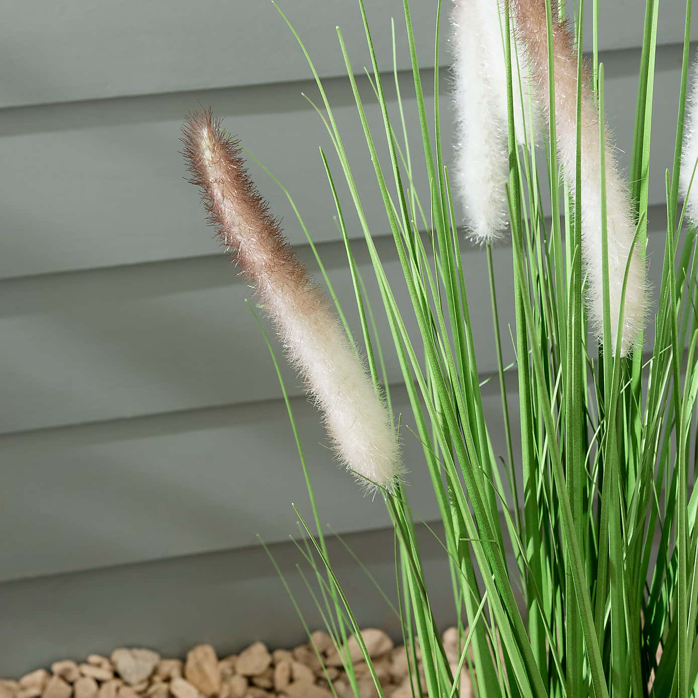Foxtail Potted Grass 80cm