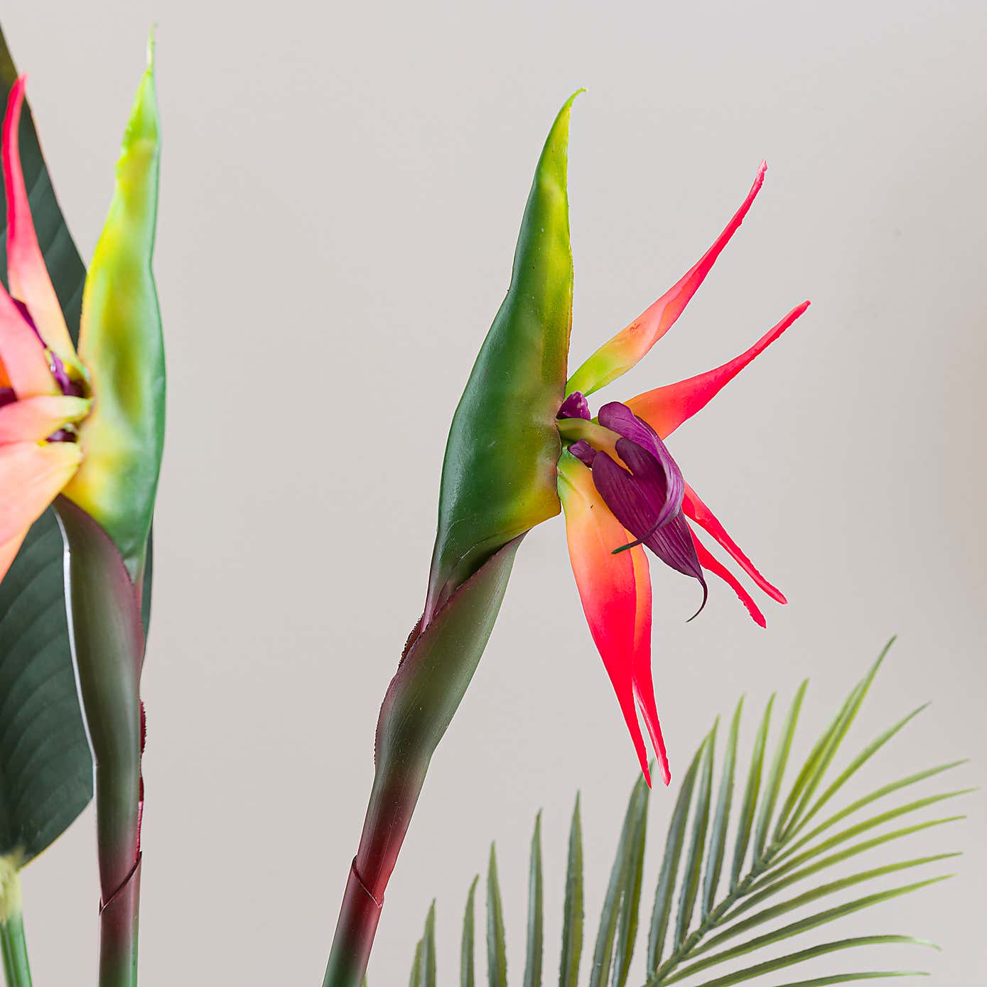 Artificial Bird of Paradise and Palm Letterbox Bouquet