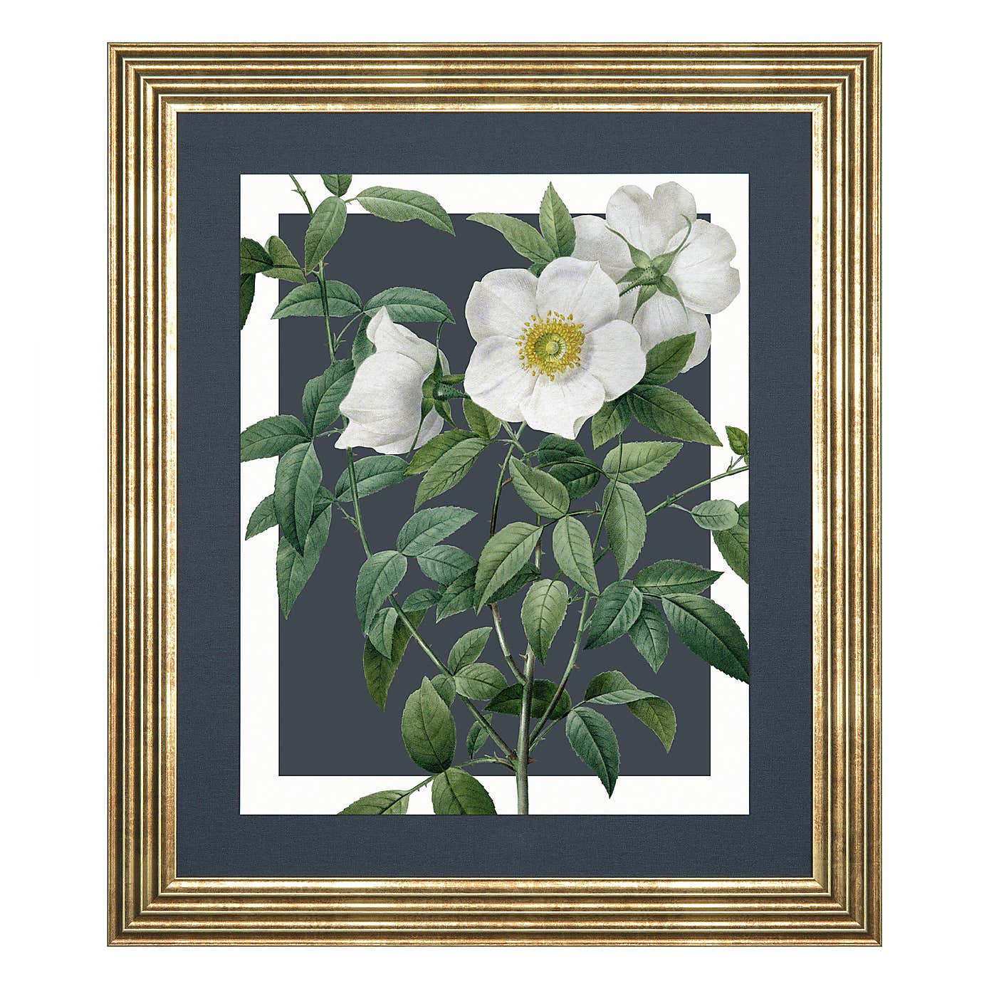 Cedar & Sage Rosa Nivea Framed Canvas