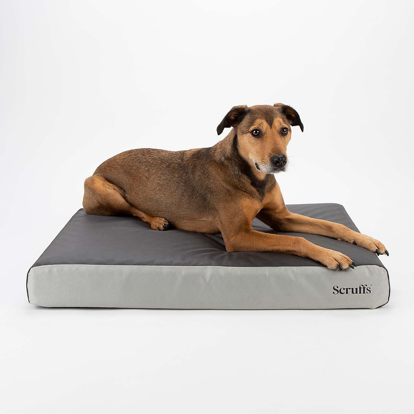 Scruffs ArmourDillo Orthopaedic Dog Bed