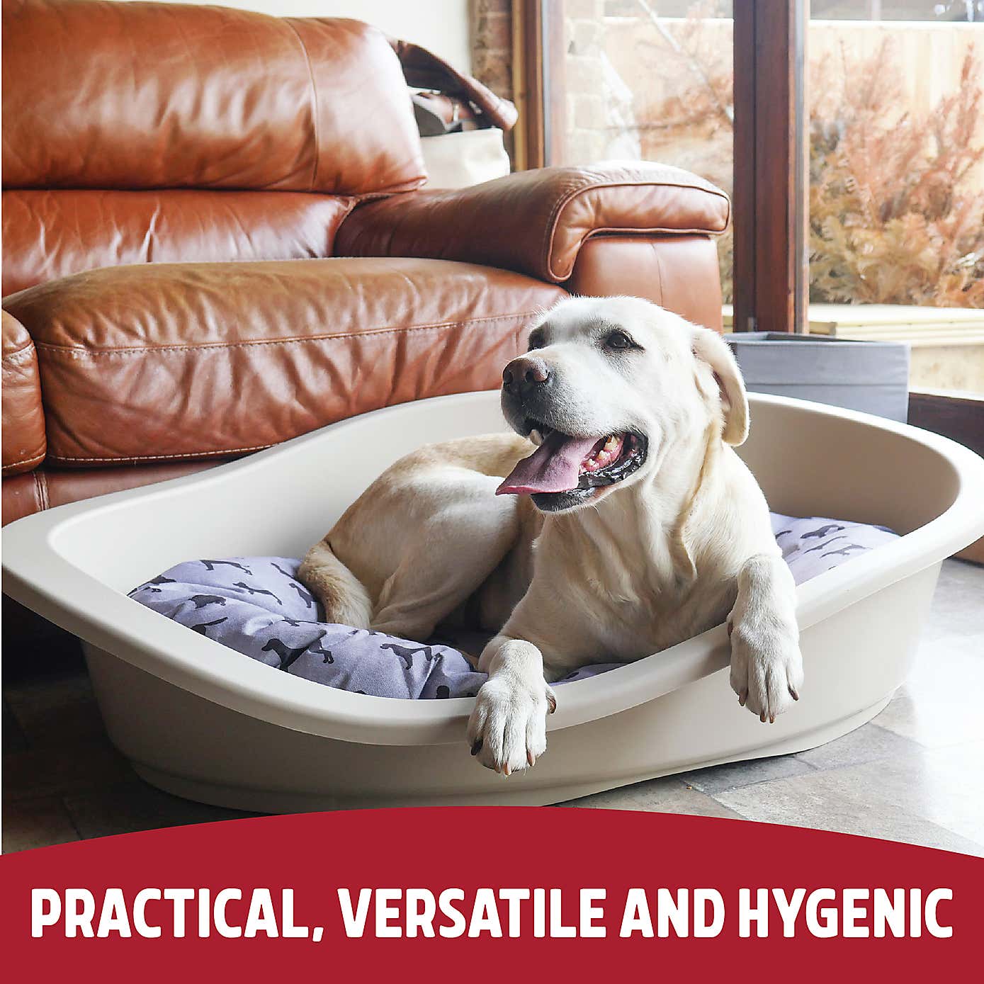 Rosewood Sonny Plastic Pet Bed