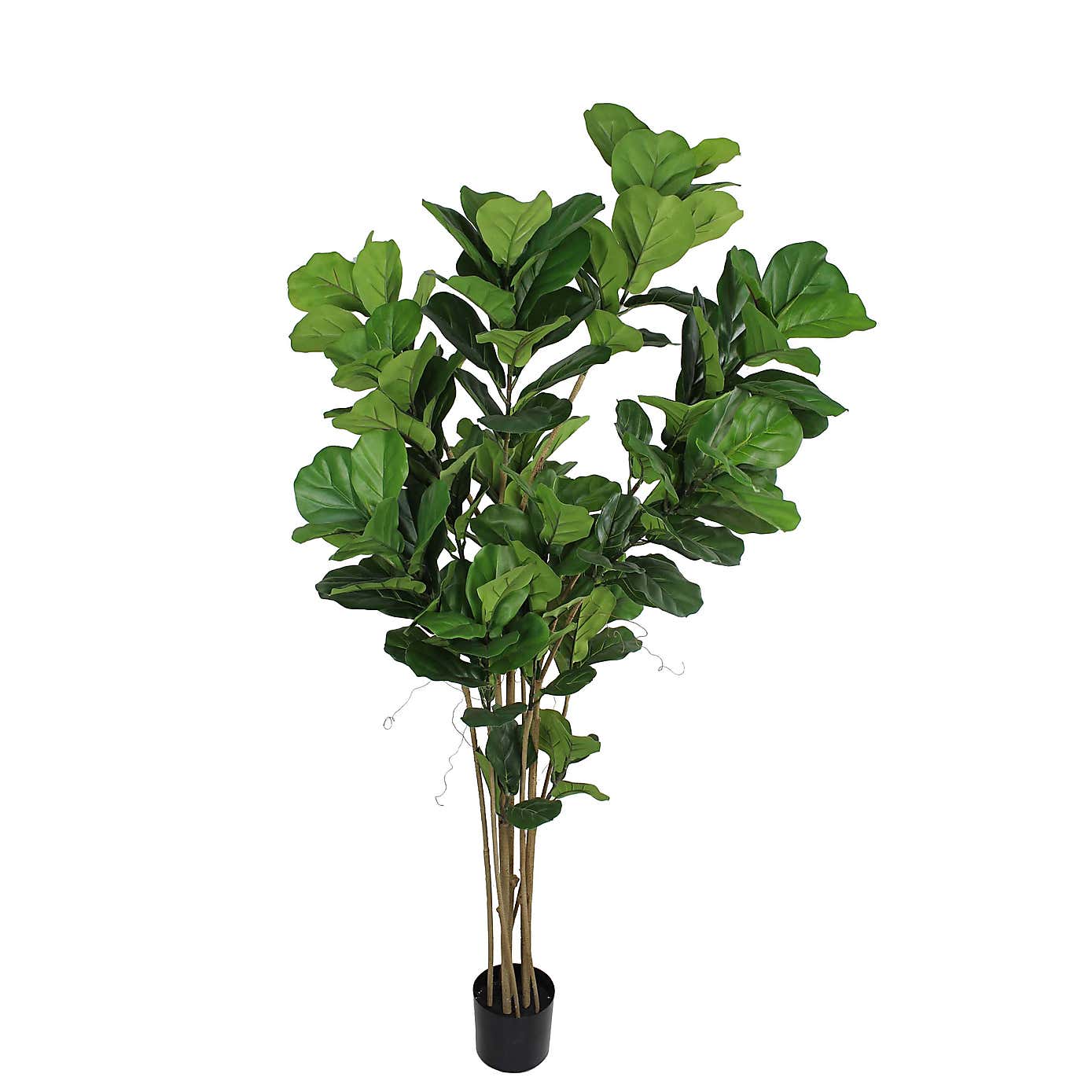 Artificial Fig Tree in Black Plant Pot