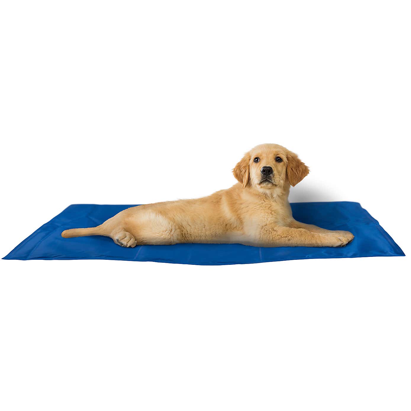 Crufts Pet Cooling Mat