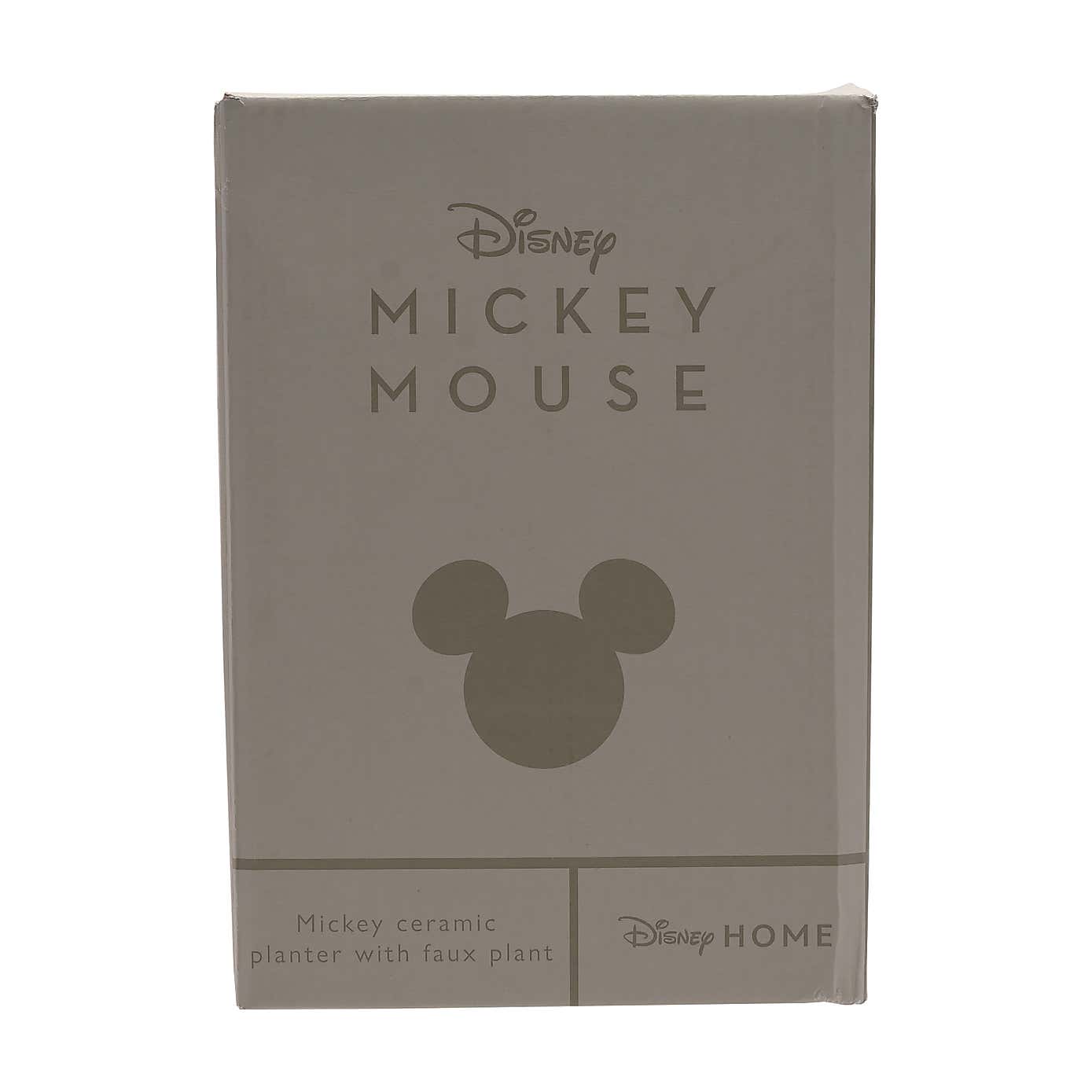 Artificial Plant in Disney Mickey Mouse Ceramic Plant Pot