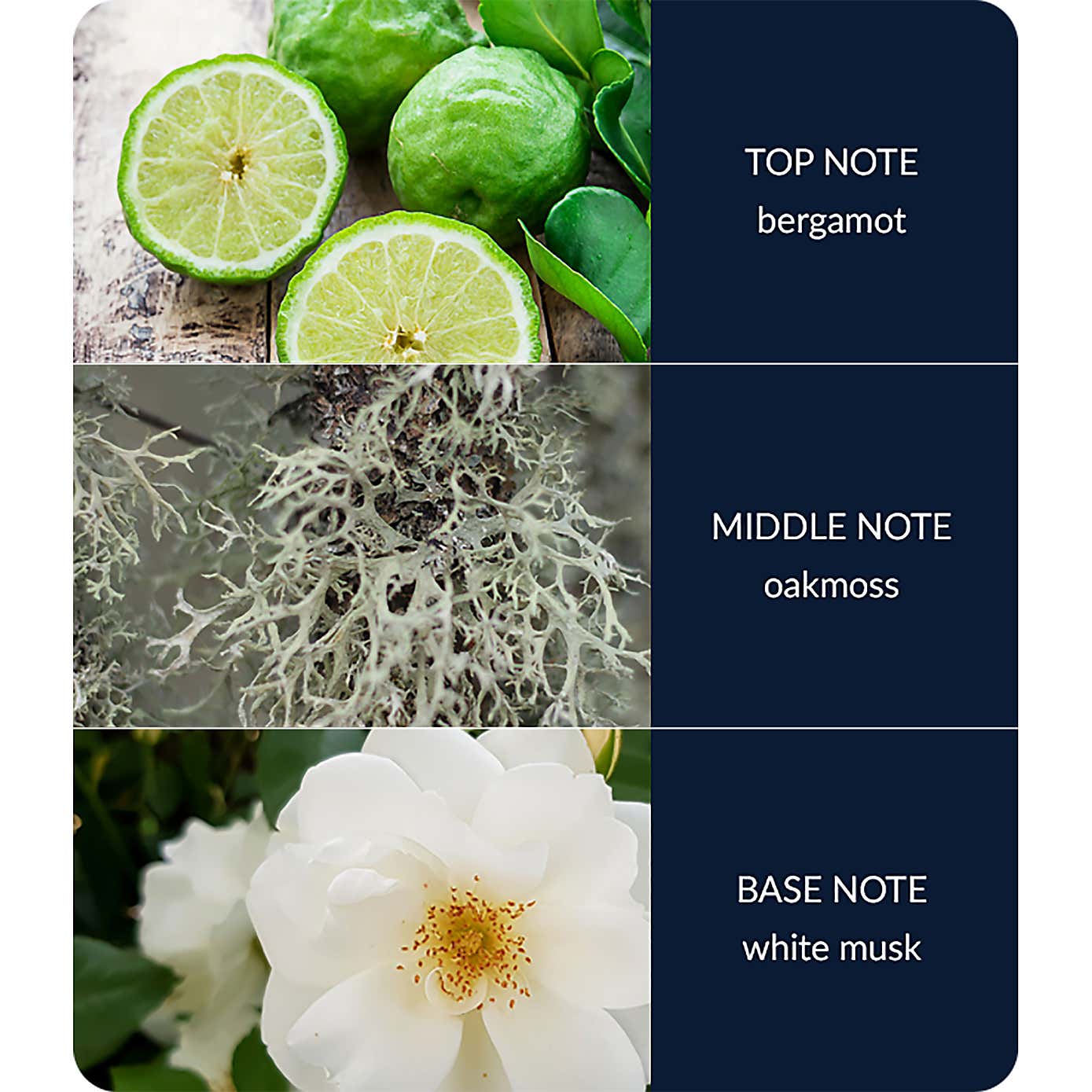 Heart and Home Ellipse River Rock Multi Wick Candle