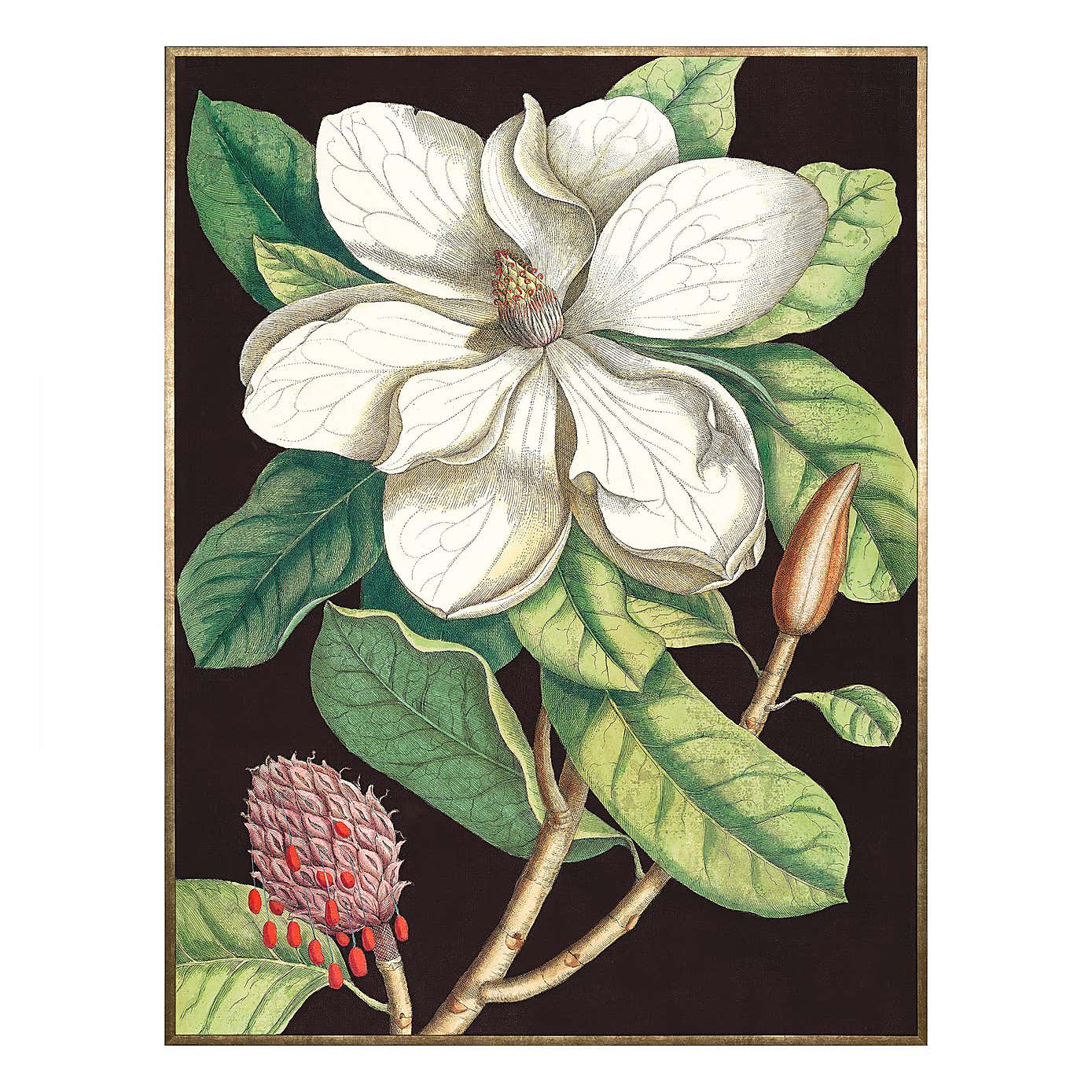 Cedar & Sage Laurel Tree Framed Canvas