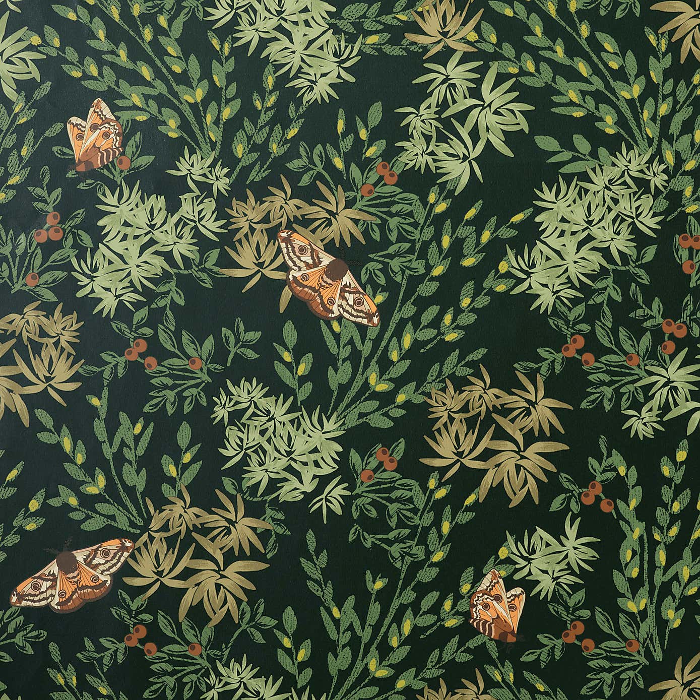 Moorland Moth Wallpaper Green