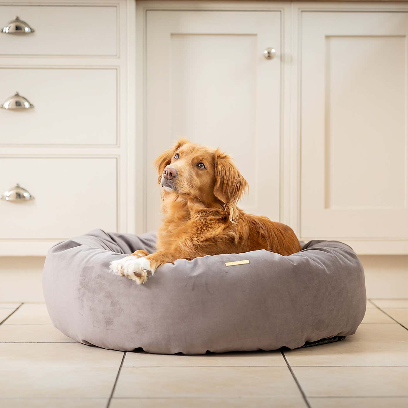 Lords and Labradors Velvet Donut Dog Bed